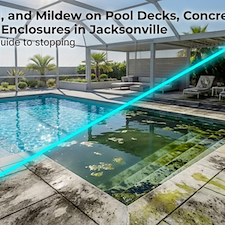 Algae, Mold, and Mildew on Pool Decks, Concrete, and Screen Enclosures in Jacksonville Thumbnail