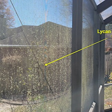 Pool-Deck-Resurfacing-Screen-Enclosure-Cleaning-in-Jacksonville-FL 11